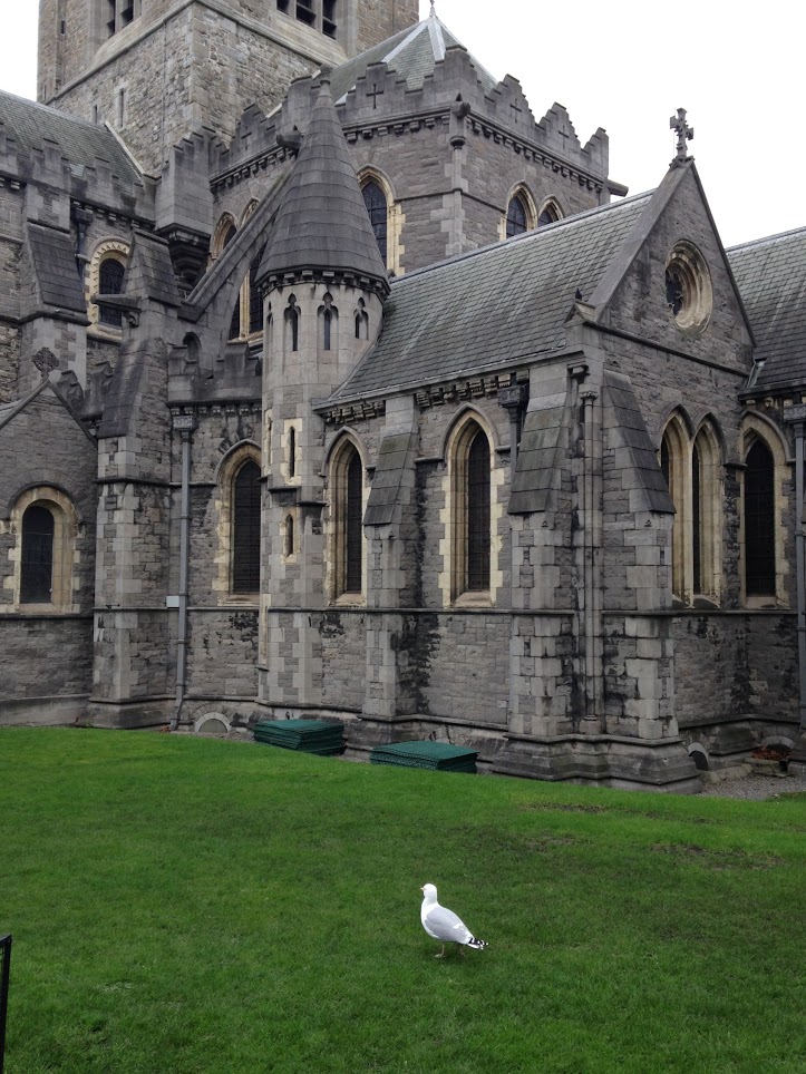 Christchurch Cathedral in Dublin